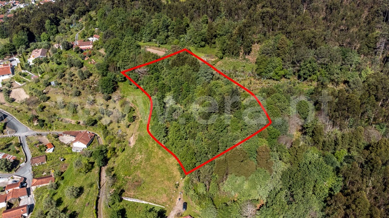 Terreno para Construção  Ponte de Lima, Labruja - 1472561 - 4