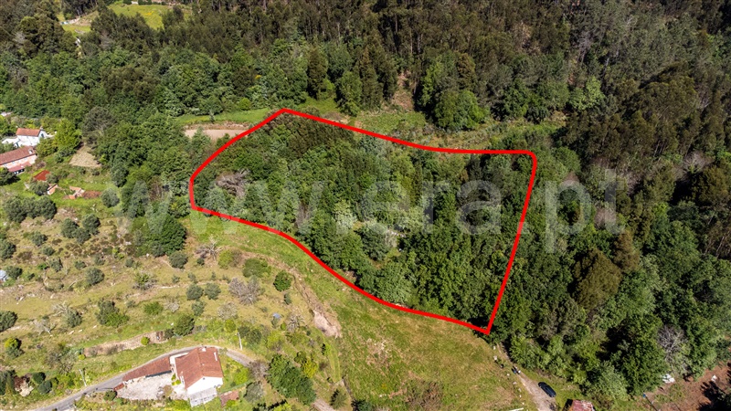 Terreno para Construção  Ponte de Lima, Labruja - 1472561 - 5