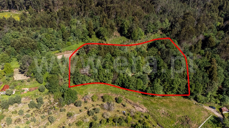 Terreno para Construção  Ponte de Lima, Labruja - 1472561 - 6