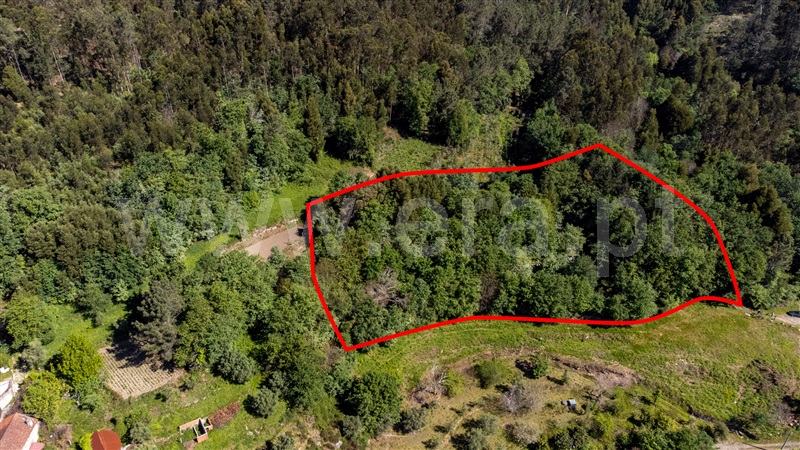 Terreno para Construção  Ponte de Lima, Labruja - 1472561 - 7