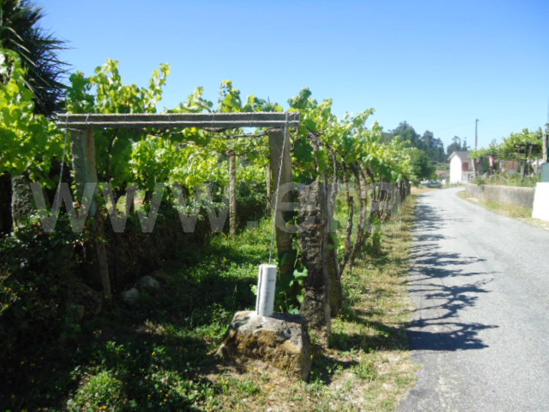 Land for sale in Ponte de Lima, Portugal — €57,000