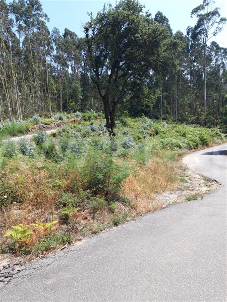 Terreno para Construção  Ponte de Lima, Poiares - 1494048 - 2