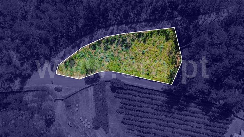 Terreno para Construção  Ponte de Lima, Poiares - 1494048 - 4