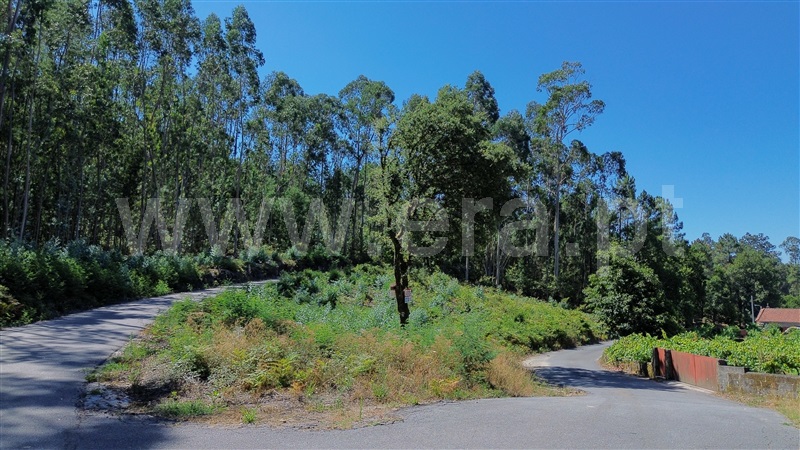 Terreno para Construção  Ponte de Lima, Poiares - 1494048 - 7