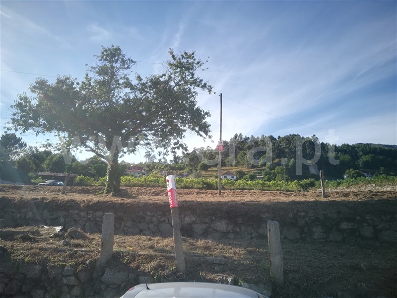 Terreno para Construção  Ponte de Lima, Refoios do Lima - 1443516 - 8
