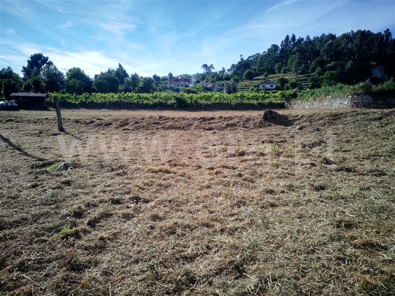 Terreno para Construção  Ponte de Lima, Refoios do Lima - 1443516 - 3
