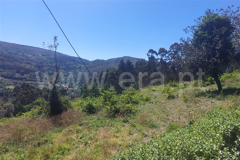 Terreno para Construção  Ponte de Lima, Rendufe - 1400493 - 2
