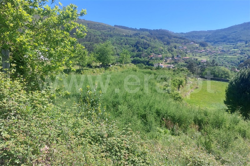 Terreno para Construção  Ponte de Lima, Rendufe - 1400493 - 5