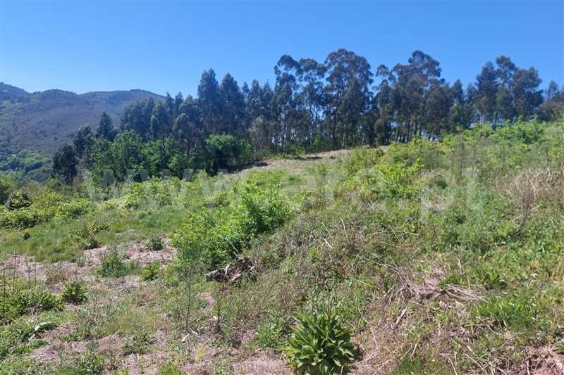 Terreno para Construção  Ponte de Lima, Rendufe - 1400493 - 6
