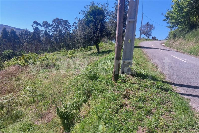 Terreno para Construção  Ponte de Lima, Rendufe - 1400493 - 7