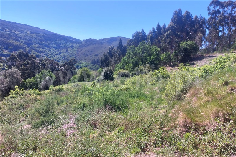 Terreno para Construção  Ponte de Lima, Rendufe - 1400493 - 9