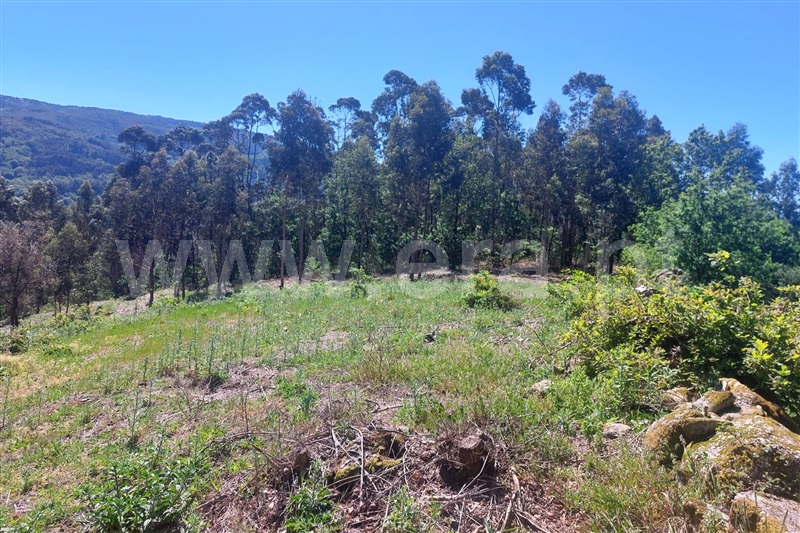 Terreno para Construção  Ponte de Lima, Rendufe - 1400493 - 11