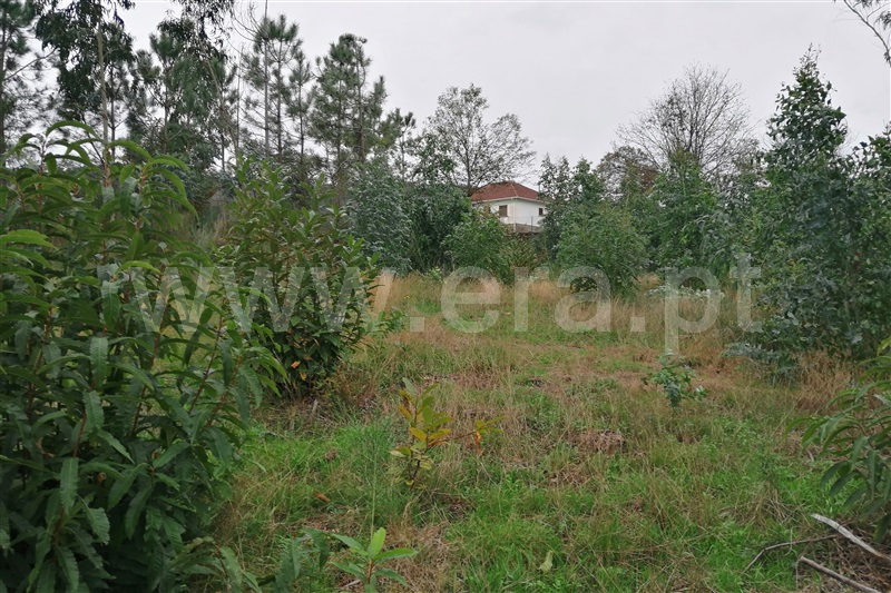 Terreno para Construção  Ponte de Lima, Rendufe - 752647 - 3