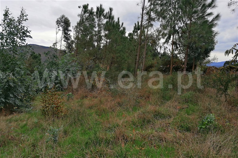 Terreno para Construção  Ponte de Lima, Rendufe - 752647 - 5
