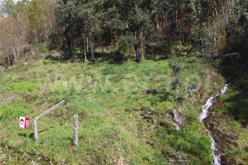 Terreno para Construção / Ponte de Lima, Ribeira