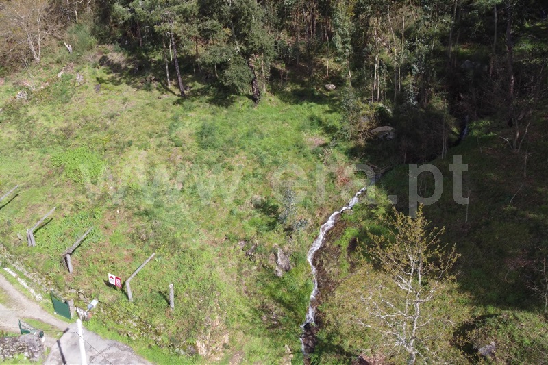 Terreno para Construção  Ponte de Lima, Ribeira - 1509398 - 2