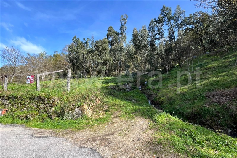 Terreno para Construção  Ponte de Lima, Ribeira - 1509398 - 5
