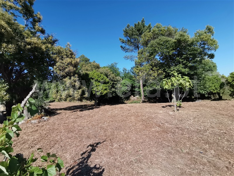 Terreno para Construção  Ponte de Lima, Santa Comba - 1180384 - 5