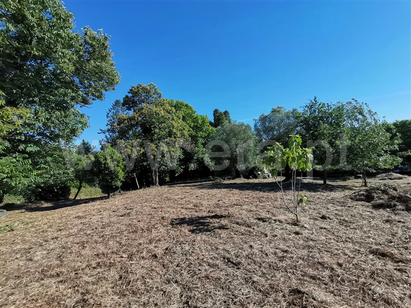 Terreno para Construção  Ponte de Lima, Santa Comba - 1180384 - 6