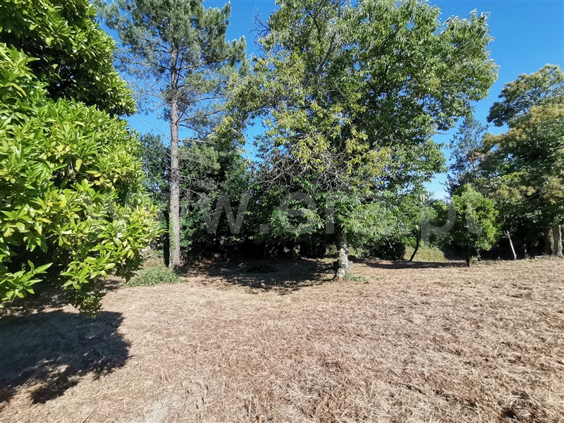Terreno para Construção  Ponte de Lima, Santa Comba - 1180384 - 7
