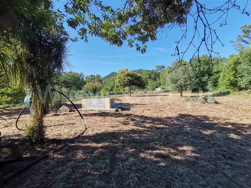 Terreno para Construção  Ponte de Lima, Santa Comba - 1180384 - 8