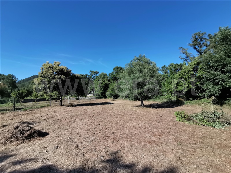 Terreno para Construção  Ponte de Lima, Santa Comba - 1180384 - 10