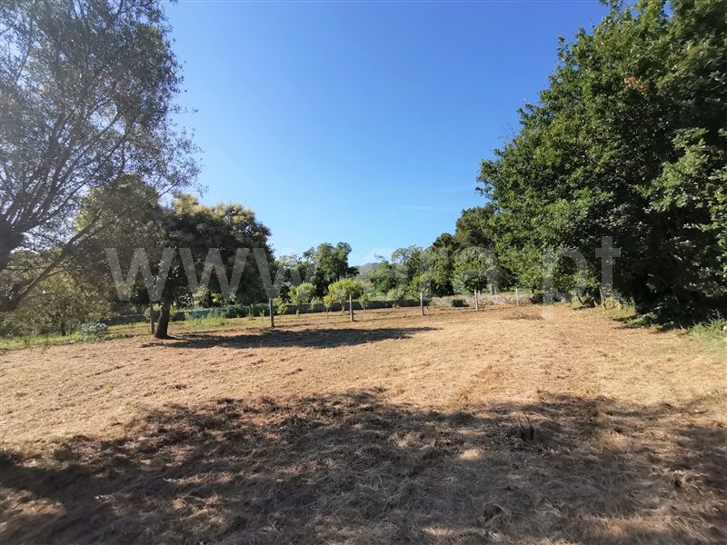 Terreno para Construção  Ponte de Lima, Santa Comba - 1180384 - 11