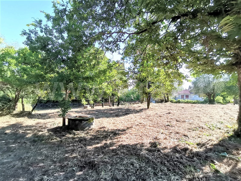 Terreno para Construção  Ponte de Lima, Santa Comba - 1180384 - 12