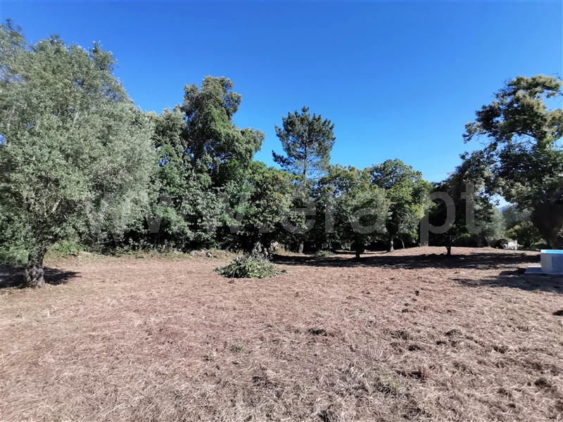 Terreno para Construção  Ponte de Lima, Santa Comba - 1180384 - 13