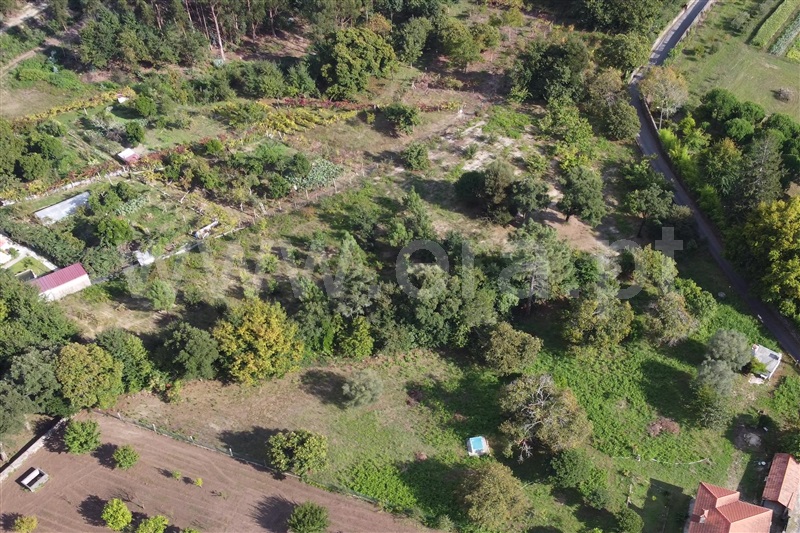 Terreno para Construção  Ponte de Lima, Santa Comba - 1180384 - 2