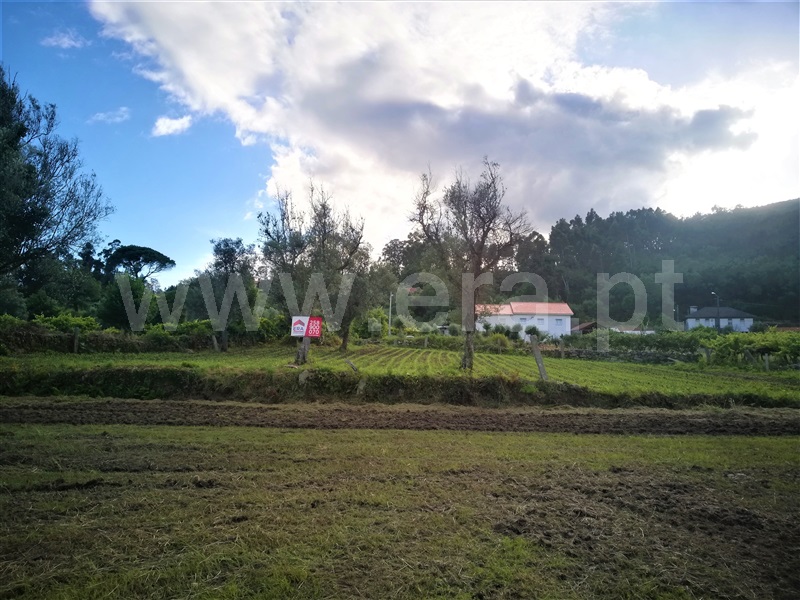 Terreno para Construção  Ponte de Lima, São Pedro D`Arcos - 1064561 - 9