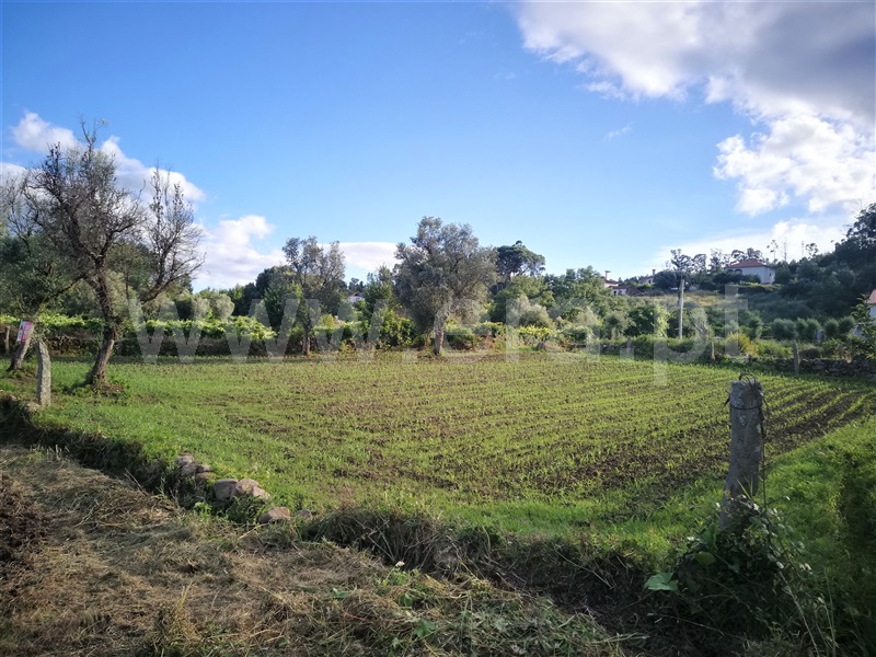 Terreno para Construção  Ponte de Lima, São Pedro D`Arcos - 1064561 - 2