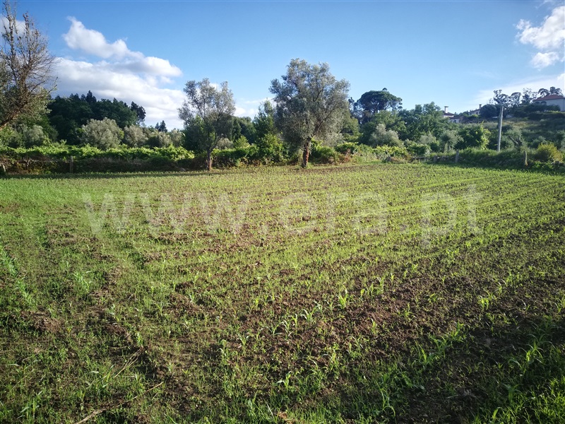 Terreno para Construção  Ponte de Lima, São Pedro D`Arcos - 1064561 - 3