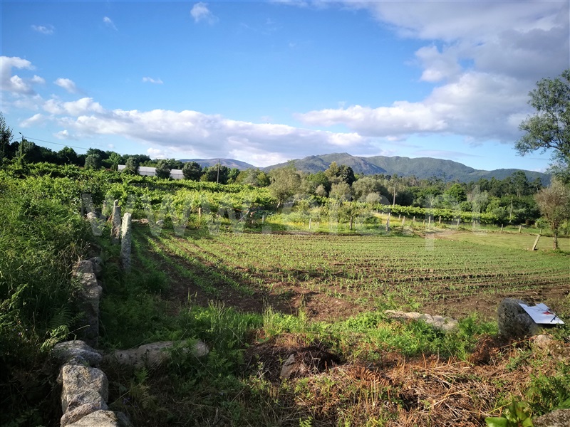 Terreno para Construção  Ponte de Lima, São Pedro D`Arcos - 1064561 - 6