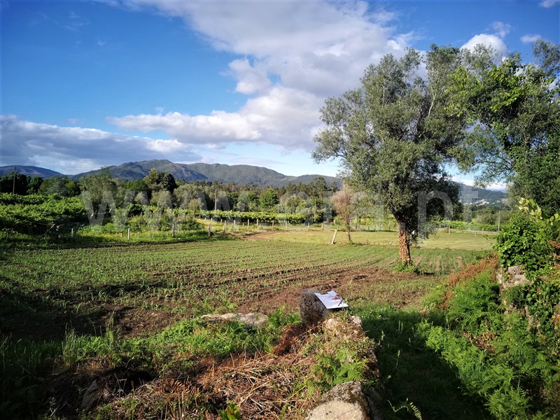 Terreno para Construção  Ponte de Lima, São Pedro D`Arcos - 1064561 - 7