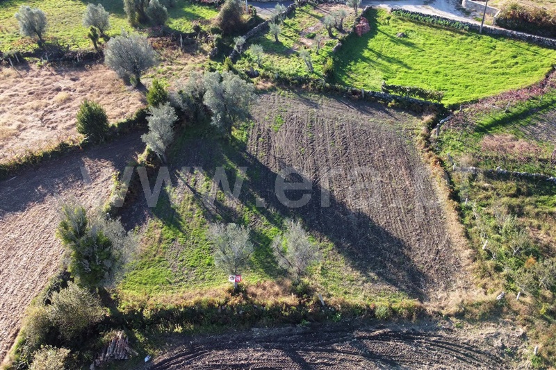 Terreno para Construção  Ponte de Lima, São Pedro D`Arcos - 1064561 - 11