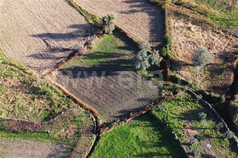 Terreno para Construção / Ponte de Lima, São Pedro d`Arcos