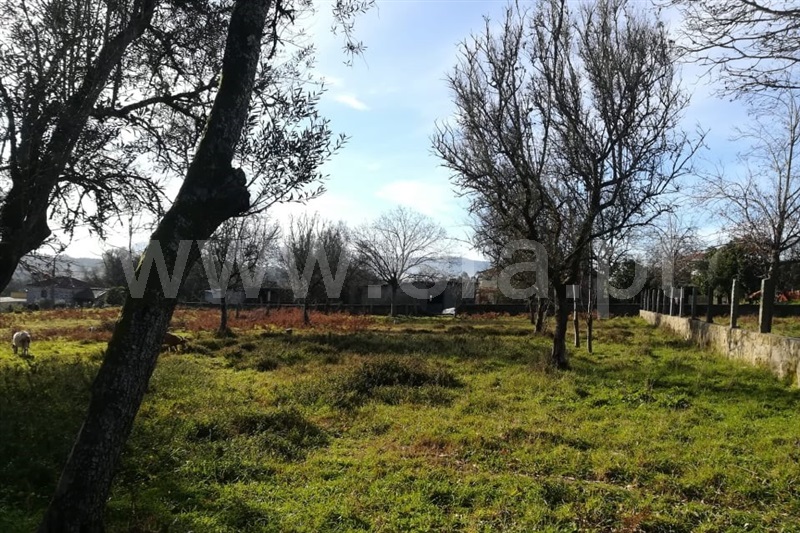 Terreno para Construção  Ponte de Lima, São Pedro D`Arcos - 1064587 - 2