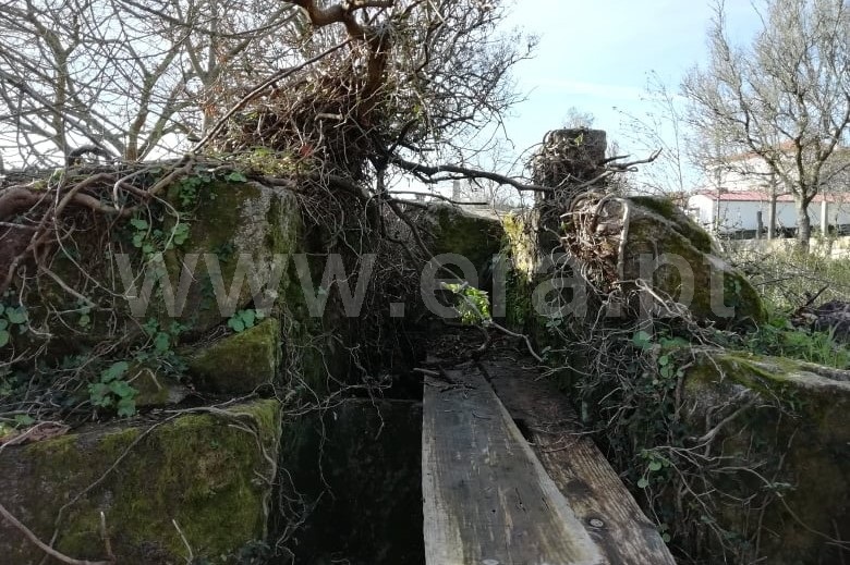 Terreno para Construção  Ponte de Lima, São Pedro D`Arcos - 1064587 - 9