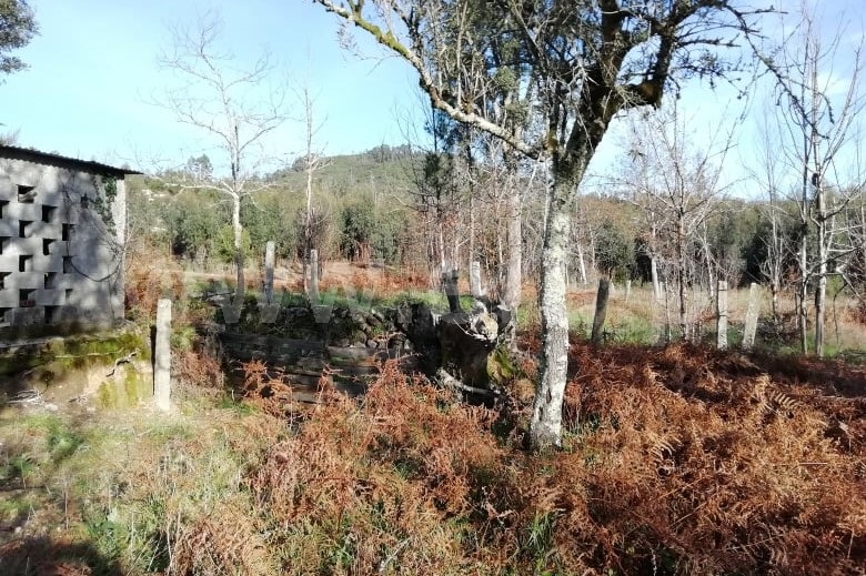 Terreno para Construção  Ponte de Lima, São Pedro D`Arcos - 1064587 - 3