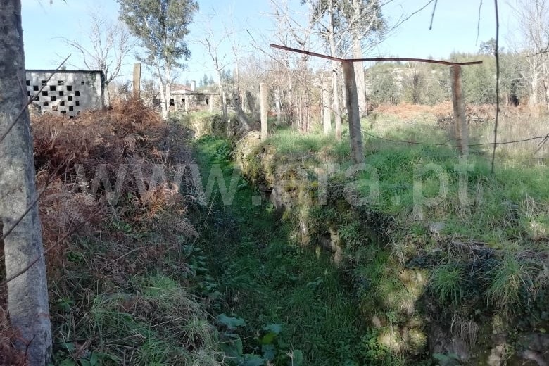 Terreno para Construção  Ponte de Lima, São Pedro D`Arcos - 1064587 - 4