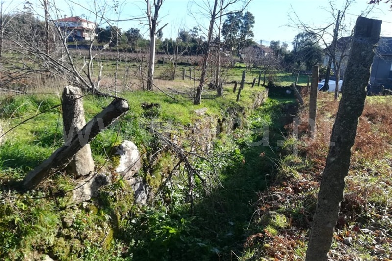 Terreno para Construção  Ponte de Lima, São Pedro D`Arcos - 1064587 - 5