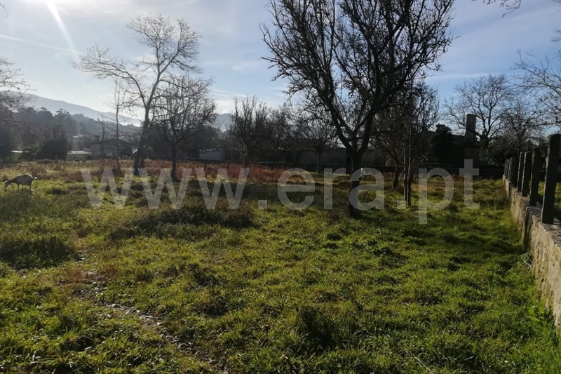 Terreno para Construção  Ponte de Lima, São Pedro D`Arcos - 1064587 - 7