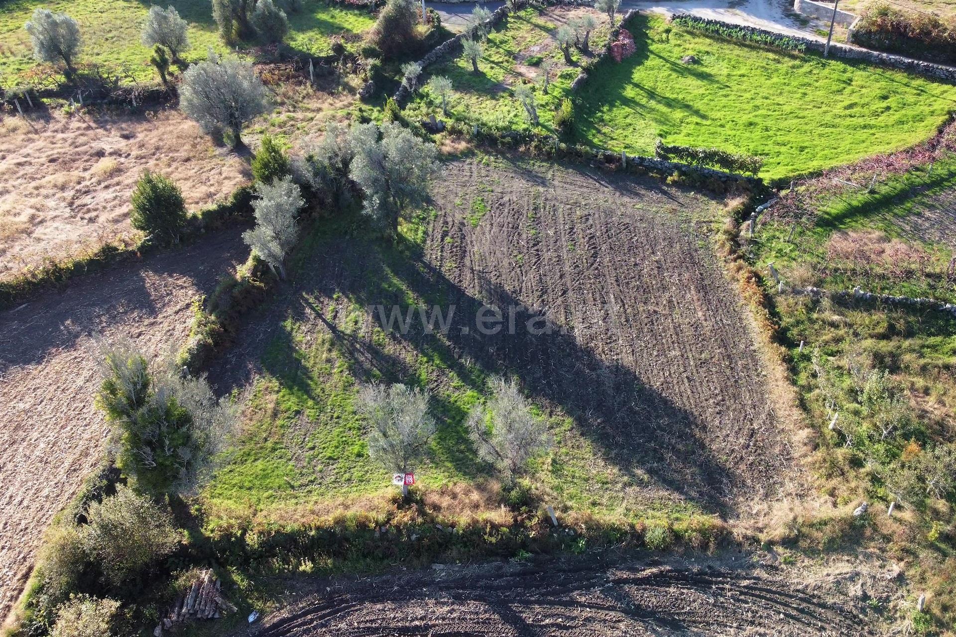 Land for sale in Ponte de Lima, Portugal — €56,000