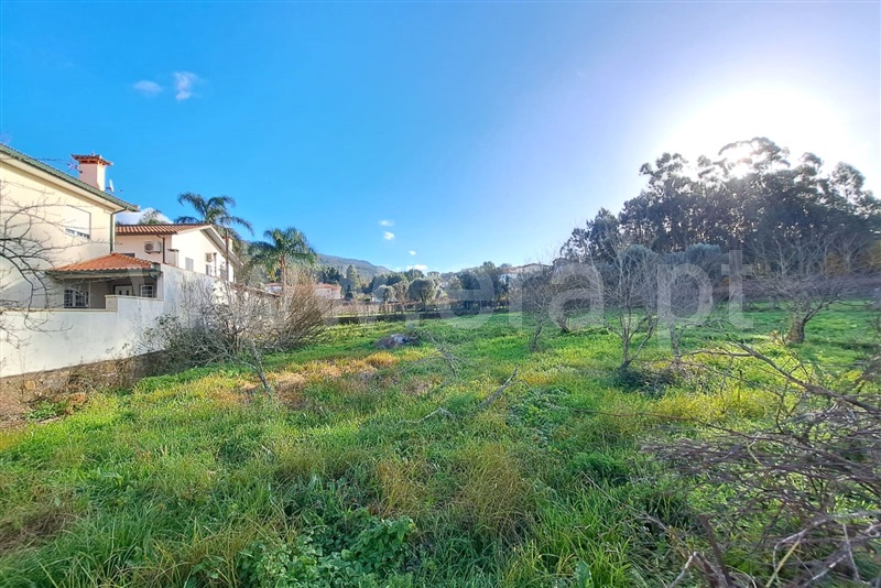 Terreno para Construção  Ponte de Lima, Seara - 1450769 - 9