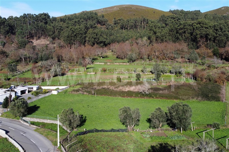 Terreno para Construção  Ponte de Lima, Serdedelo - 1457713 - 5