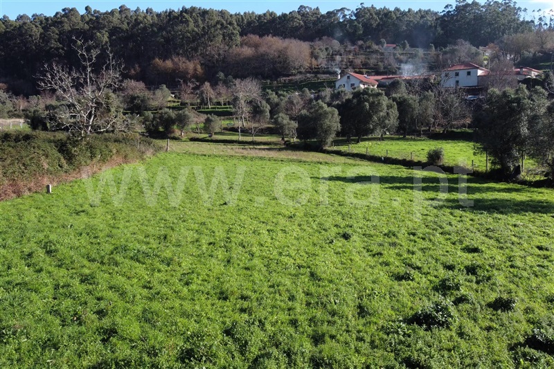 Terreno para Construção  Ponte de Lima, Serdedelo - 1457713 - 8