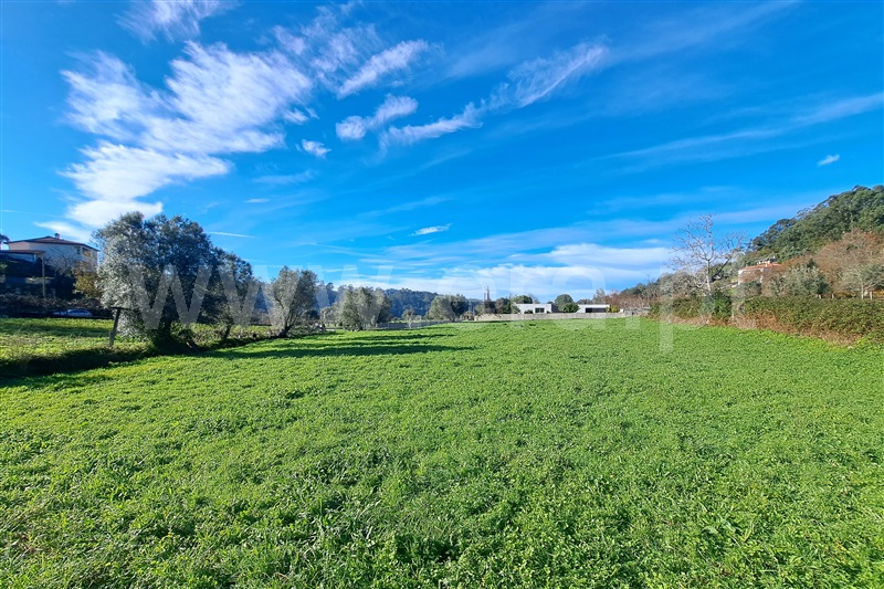 Terreno para Construção  Ponte de Lima, Serdedelo - 1457713 - 10