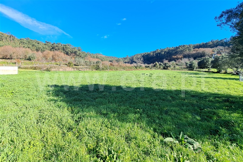 Terreno para Construção  Ponte de Lima, Serdedelo - 1457713 - 11