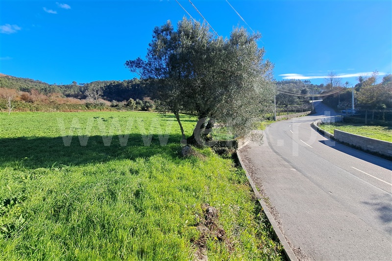 Terreno para Construção  Ponte de Lima, Serdedelo - 1457713 - 12